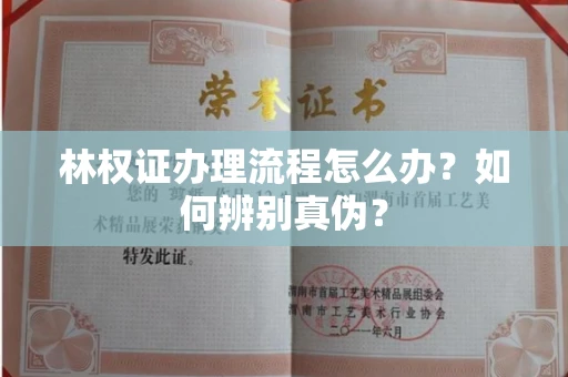 全国林权证办理流程怎么办?如何辨别真伪?